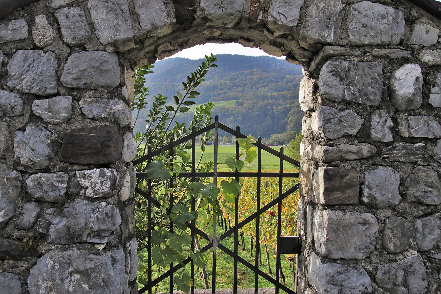 Голландская защита каменная стена