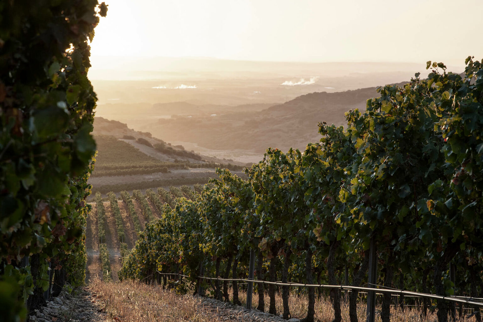 Baron De Ley