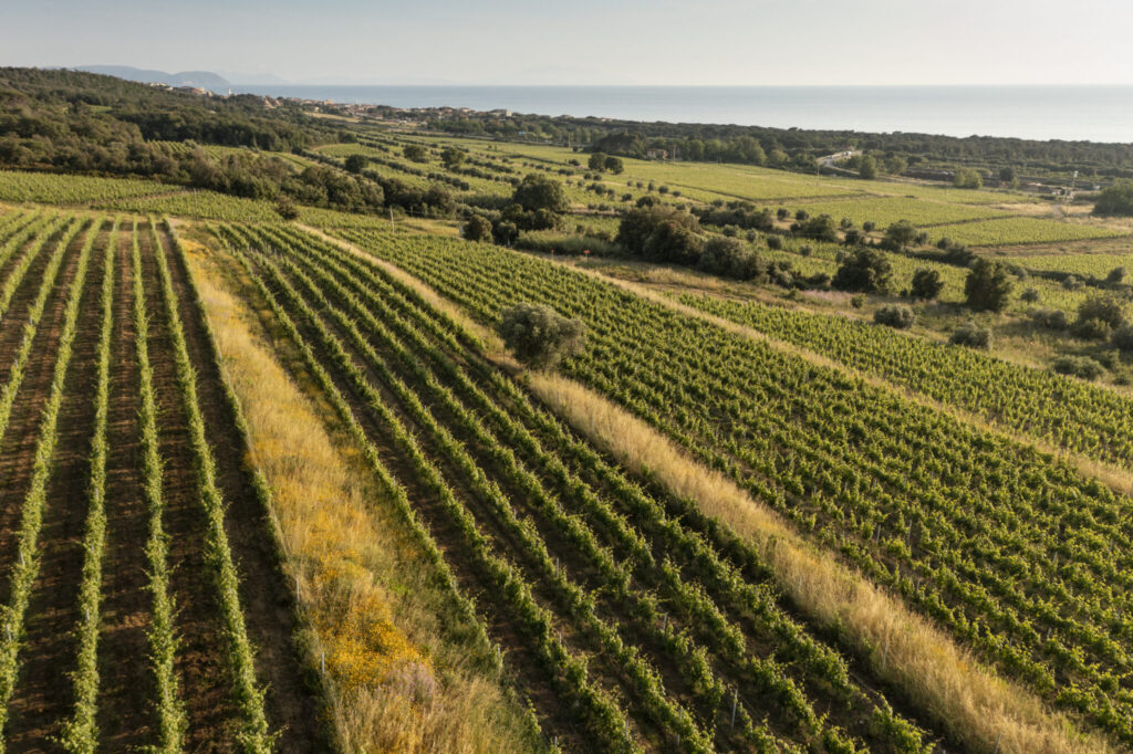 Tenuta Meraviglia