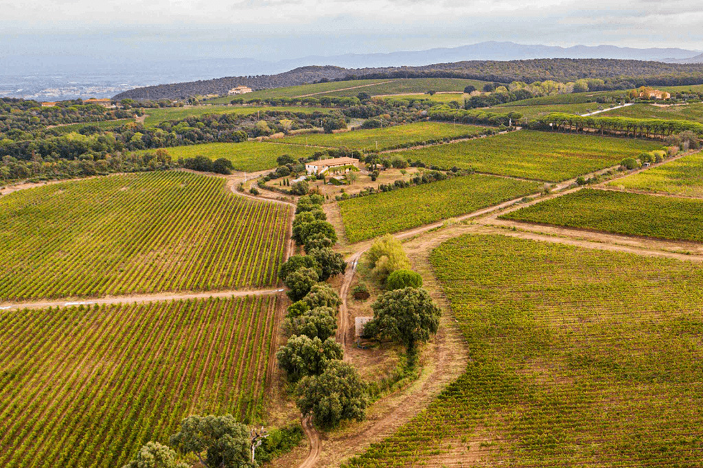 Tenuta Meraviglia