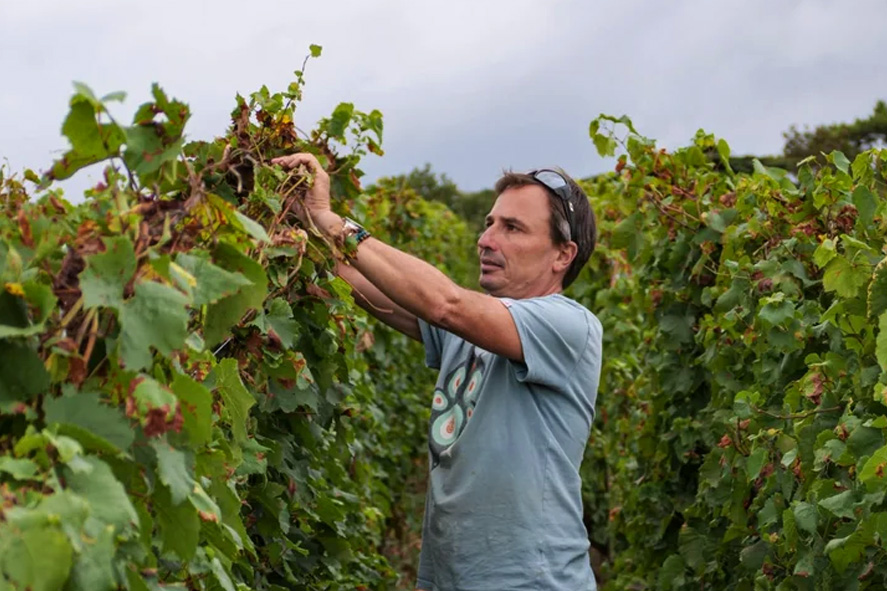 Domaine la Soufrandière